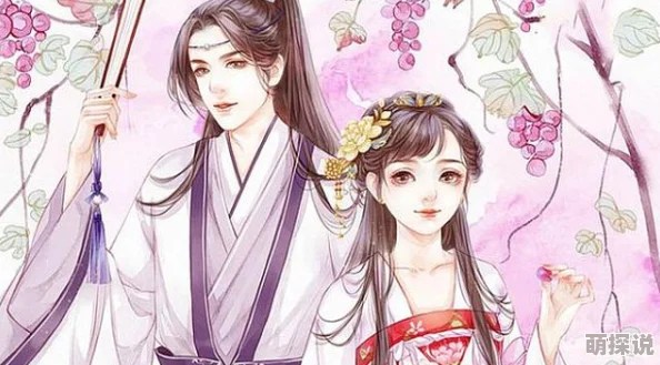 撩了反派夫君之后白城小说三姊妹：携手共进勇敢追梦创造美好未来