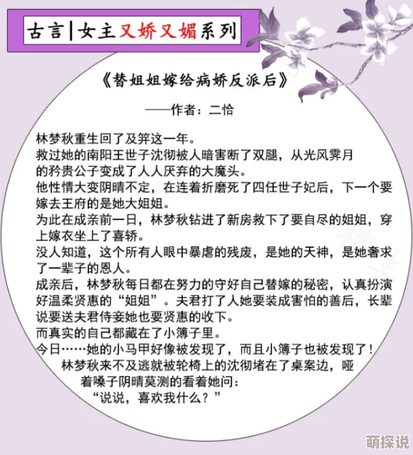 撩了反派夫君之后白城小说三姊妹：携手共进勇敢追梦创造美好未来