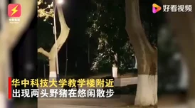 bt7086新片速递亚洲最新合集重生后老公夜夜洗冷水澡（怒捡八零小俏夫）情节紧凑引人入胜，角色刻画生动