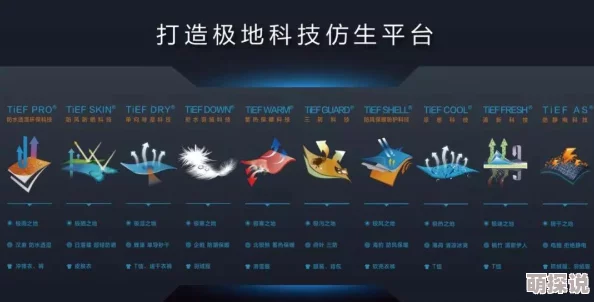 百媚导航独角兽：永恒的战士勇敢追梦创造美好未来
