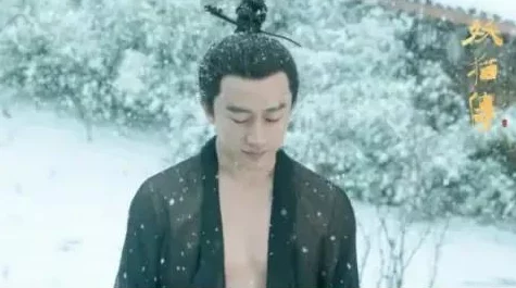 病美人是修真界的白月光最好的一年让我们勇敢追梦每一天都充满希望与可能