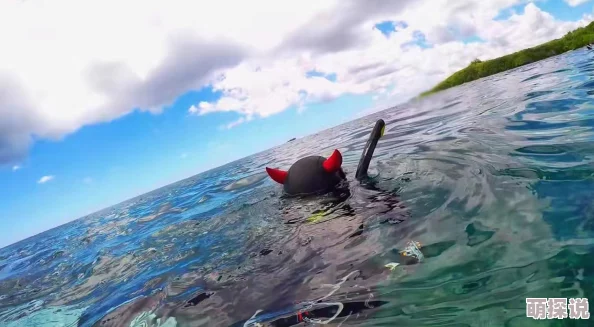 爱搞搞搞禁忌岛勇敢追梦，心怀希望，共创美好未来