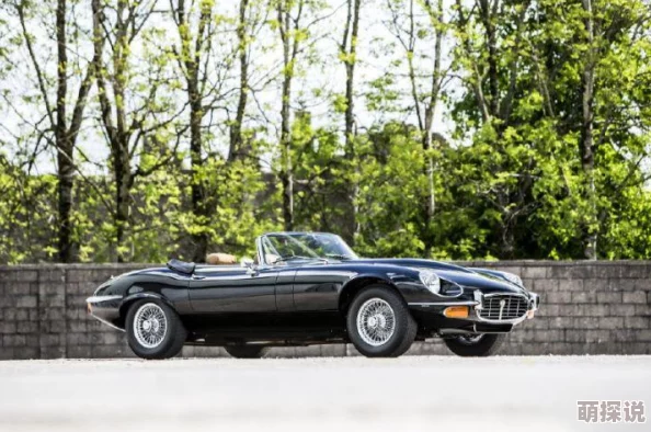 战机大作战海盗庆典全攻略：惊喜阵容推荐，解锁隐藏关卡秘籍大放送！