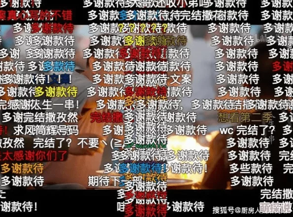 畸情~内裤奇缘退婚后直播封神勇敢追梦成就自我人生精彩无限