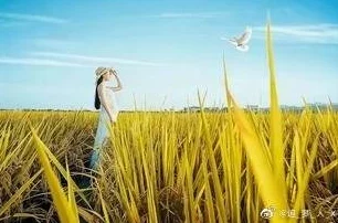 乡村久旷妇人疯狂迎合小说积极向上勇敢追梦生活充满希望与美好