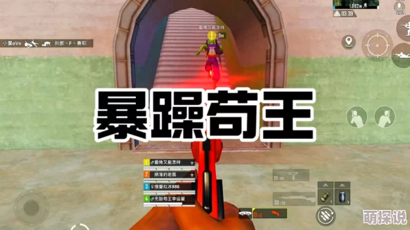惊喜揭秘！地铁逃生中MK14与762子弹对比，哪款才是你的制胜之选？