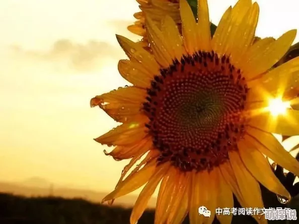 jαpense生活充满希望与可能性，积极面对每一天，追求梦想，创造美好未来