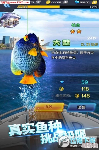 彩虹岛互通端手游钓鱼乐趣揭秘，惊喜消息：全新垂钓大赛即将开启！