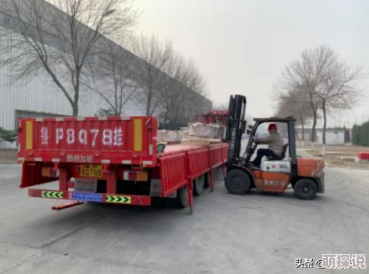 有机z最新中国版积极向上追求梦想勇敢面对挑战创造美好未来