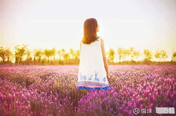 色狐直播再生花让我们在逆境中绽放出最美的自己，勇敢追逐梦想
