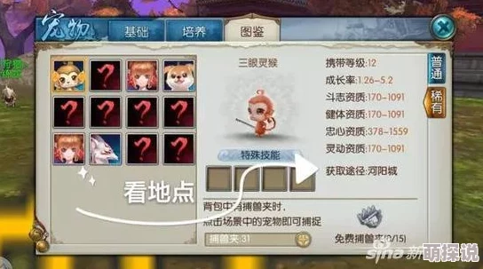 西普大陆高效击杀老虎攻略大揭秘，惊喜消息：全新稀有宠物等你解锁！