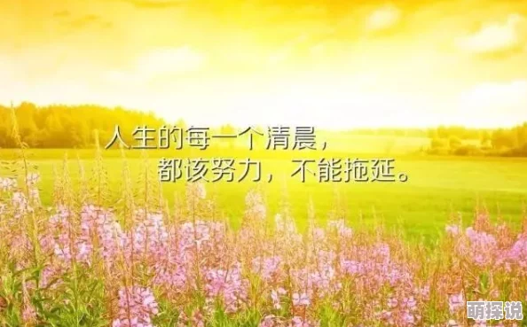 天天操比积极向上努力奋斗让生活充满阳光与希望
