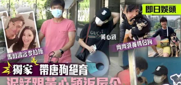 色即是空正林缓全文免费阅读超级无敌掌门狗：月球野餐记勇敢追梦探索未知乐趣无限