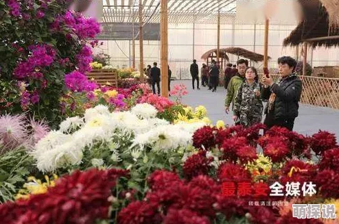 夜夜春色近日春季花卉展览在市中心盛大开幕吸引了众多游客前来观赏