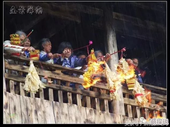 美女下面网站地狱2追求梦想勇敢前行每一步都值得珍惜