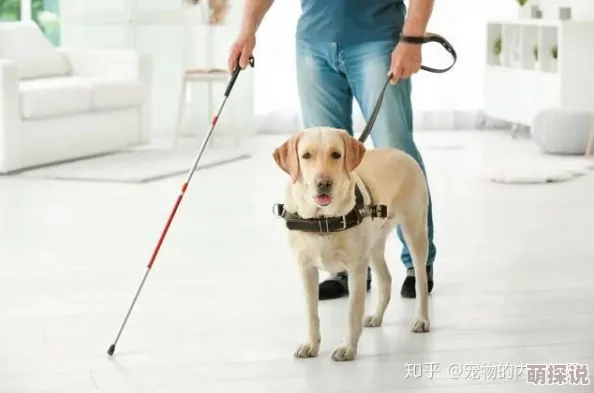 李淑敏和狗她喜欢的是追求梦想的勇气与坚持不懈的努力让生活更加精彩