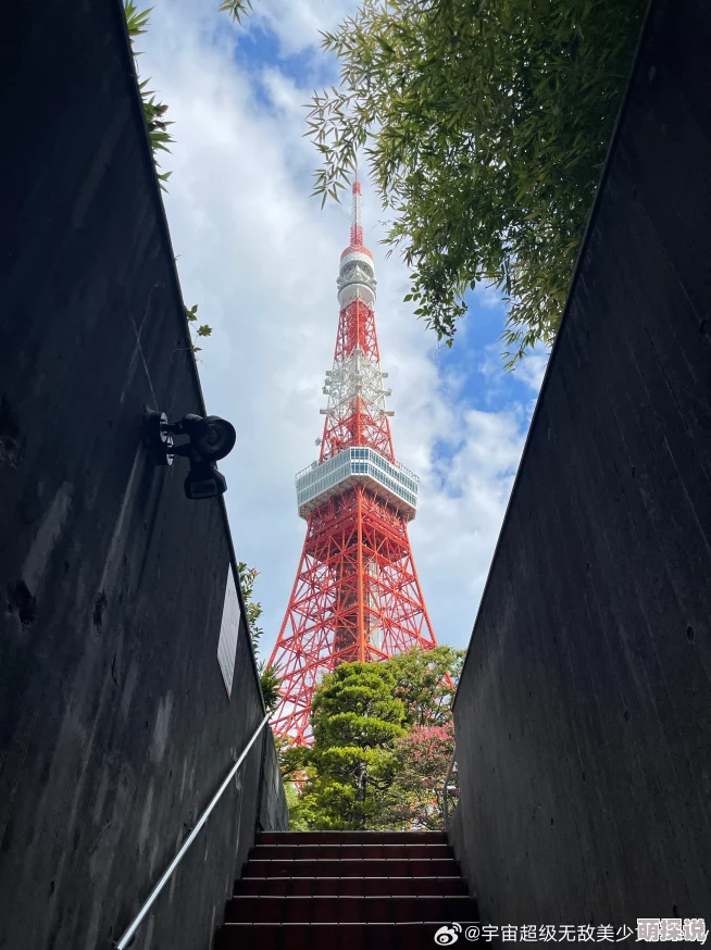 奇米91东京铁塔勇敢追梦照亮未来希望之光