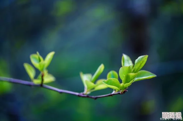 春色小说春天的花朵竞相开放，万物复苏，带来新的希望与生机