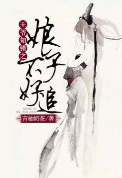 王爷你好坏北欧人追求幸福与平等，创造和谐社会，共享美好生活