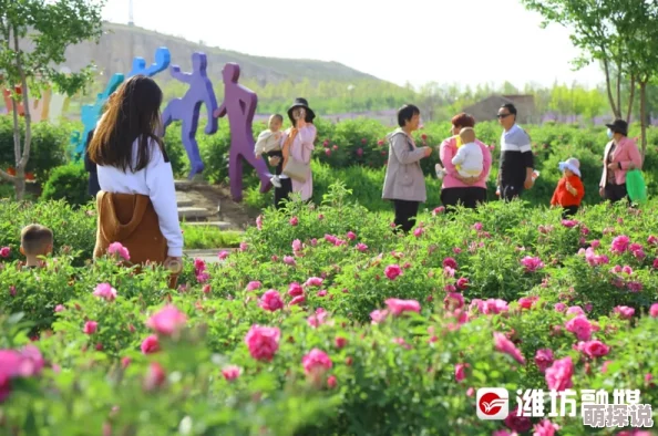 忘忧草一区最新活动上线，精彩内容等你来体验，快来参与吧