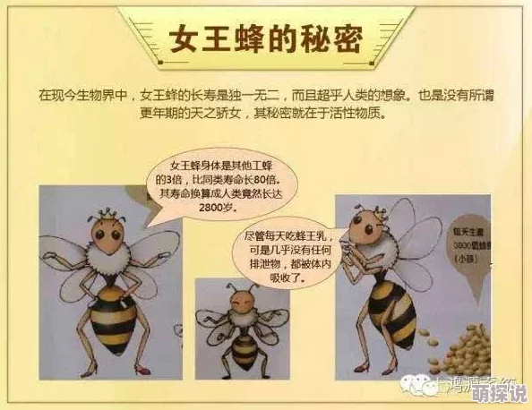揭秘！暗喻幻想中女王蜂蜜的奇妙获取途径，惊喜方法让你轻松得手！