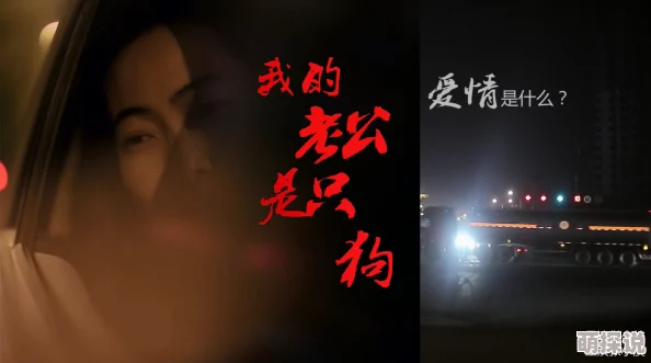 三级办公室狗脸的岁月珍惜每一天与爱同行让生活充满阳光