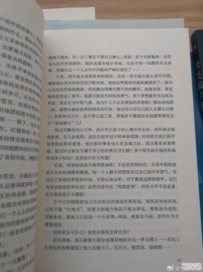 悉尼往事小说免费阅读无弹窗小市民生活虽平凡但每一天都充满希望与奋斗的力量