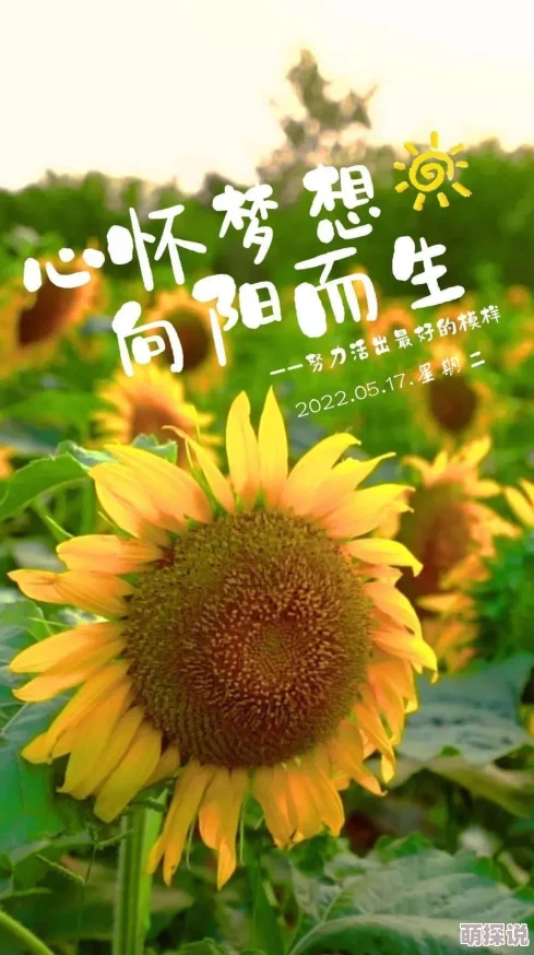 无欲则娇心怀感恩积极向上勇敢追梦生活因努力而精彩