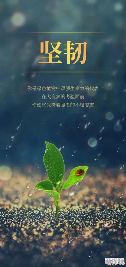欧美牲在追求梦想的道路上勇往直前，积极向上，展现出无畏的精神和无限的可能性