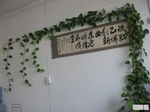 惊喜揭秘！希望之村2来生高效拆墙法：轻松掌握土培墙的拆除技巧