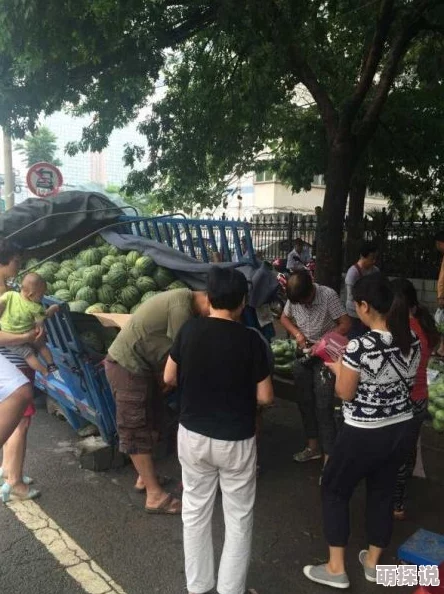 推特yqk路遇卖瓜路边摊的西瓜甜美多汁吸引了众多路人驻足品尝