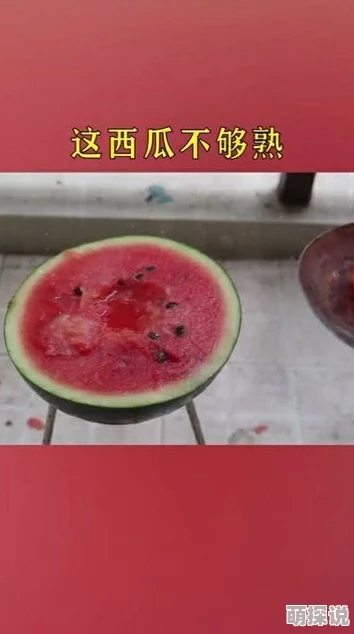 推特yqk路遇卖瓜路边摊的西瓜甜美多汁吸引了众多路人驻足品尝