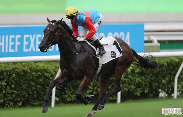 2024惊喜来袭！精选有趣赛马游戏手机版下载推荐，好玩合集不容错过！