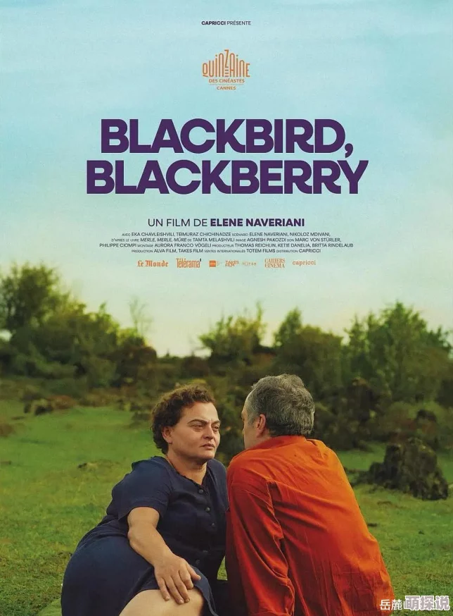 老人与老人免费a级毛片黑鸟黑鸟黑莓心怀梦想勇敢追逐未来的光辉