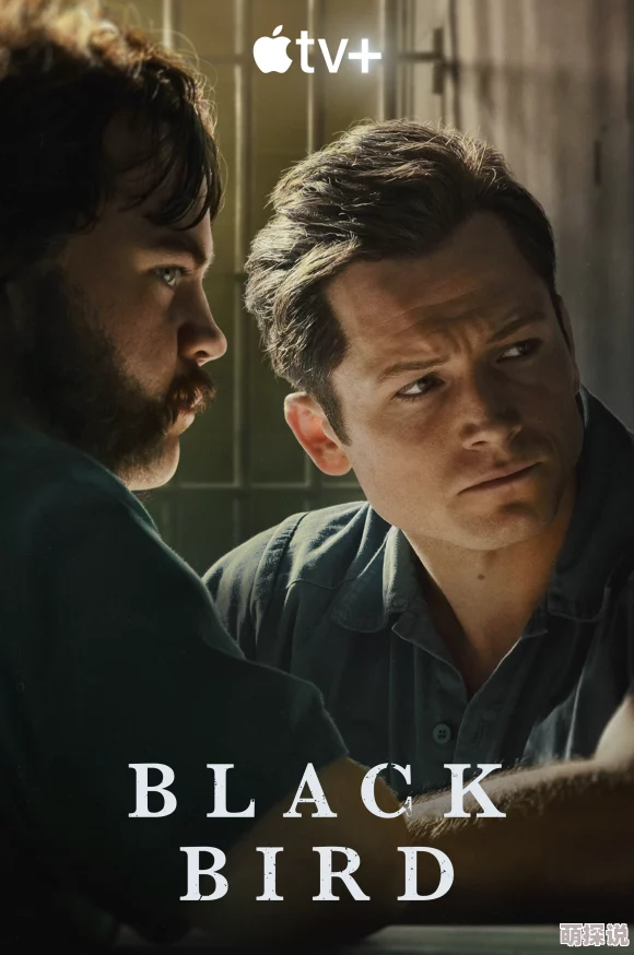 老人与老人免费a级毛片黑鸟黑鸟黑莓心怀梦想勇敢追逐未来的光辉