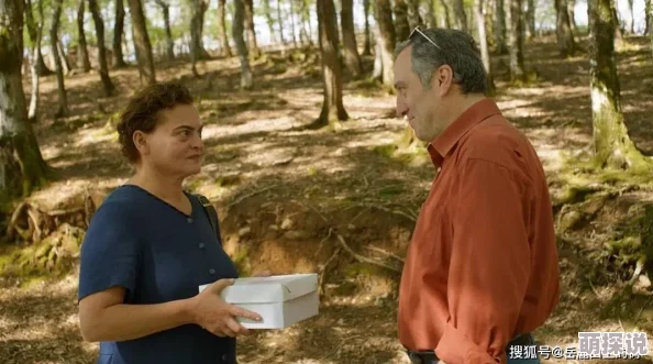 老人与老人免费a级毛片黑鸟黑鸟黑莓心怀梦想勇敢追逐未来的光辉