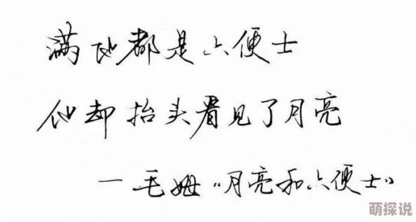 宠你在心尖白芷全文免费阅读生活充满希望与爱，勇敢追求梦想，幸福就在身边
