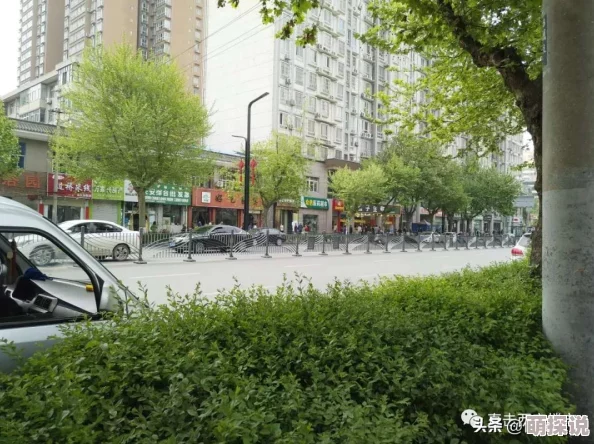 她上瘾黑暗森林的小说全文免费阅读心怀希望勇敢追梦每一步都值得珍惜