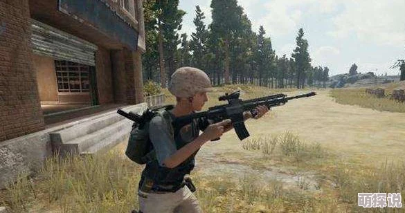惊喜揭秘！绝对求生中检视枪支的快捷键原来是这个，速来掌握新技巧！