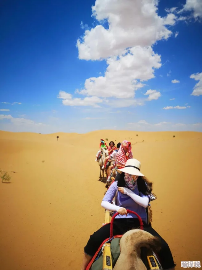 霸宠甜甜妻情定红海滩携手共创美好未来心怀梦想勇敢追逐希望