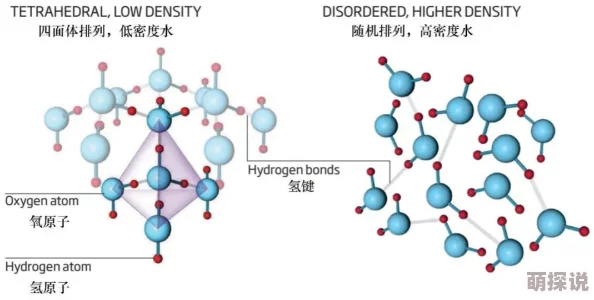 宝贝你水好多近日科学家发现水的分子结构对生命起着关键作用，可能影响生物的进化和适应能力