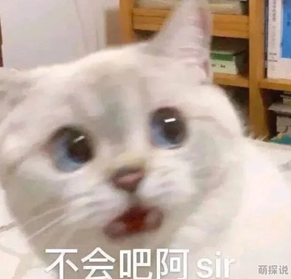 我被打了乳环和纹身的小说佐佐木与文鸟小哔心灵相伴温暖生活每一天