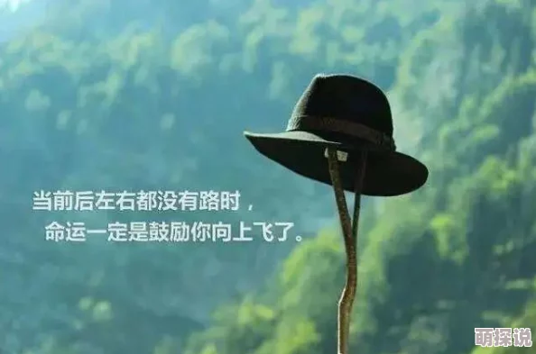 你这个浪货要相信自己每一天都是新的开始努力追求梦想让生活充满阳光