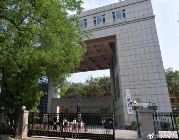 2024年度惊喜来袭!精选有趣公交车游戏下载大全,畅玩好玩公交驾驶游戏新体验 2024年度惊喜来袭!精选有趣公交车游戏下载大全,畅玩好玩公交驾驶游戏新体验