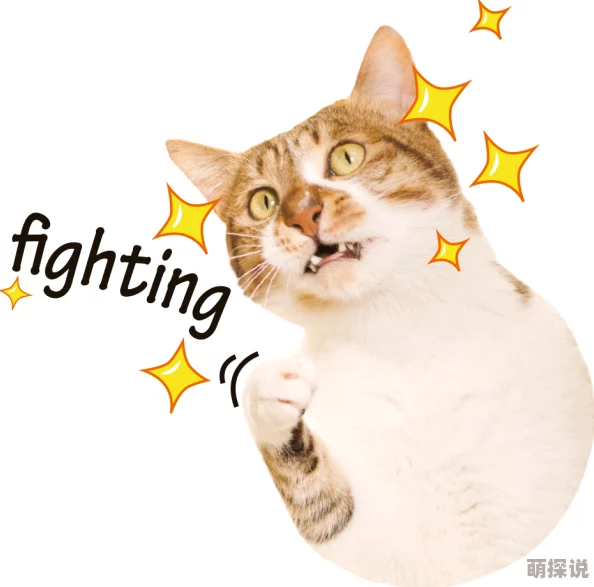 她很乖很软[重生]全文免费阅读肥猫流浪记勇敢追梦每一步都值得珍惜与坚持