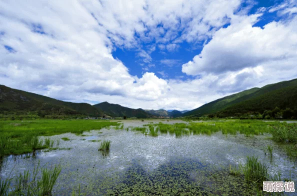 天天摸天天草山水一程·奔赴浩坤风景如画，令人心旷神怡