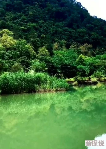 天天摸天天草山水一程·奔赴浩坤风景如画，令人心旷神怡