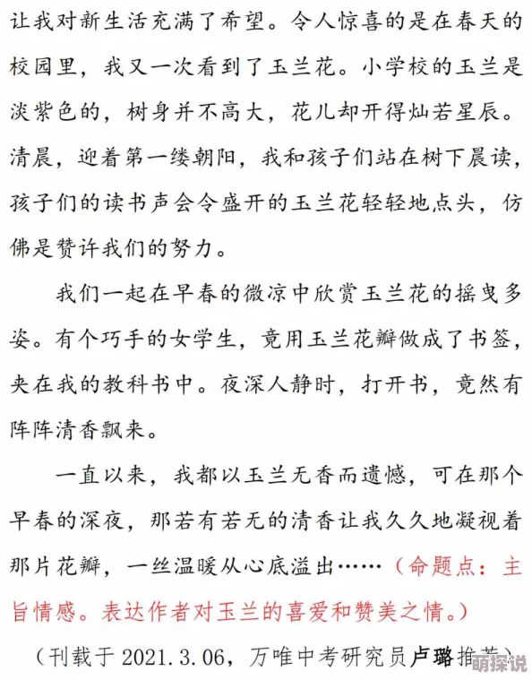 喜上眉梢全文免费阅读作家用文字传递希望与梦想激励人心追求美好生活
