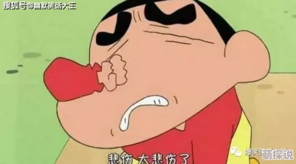 小新肉云芬15部分全文阅读积极向上，勇敢追梦，生活充满希望与美好