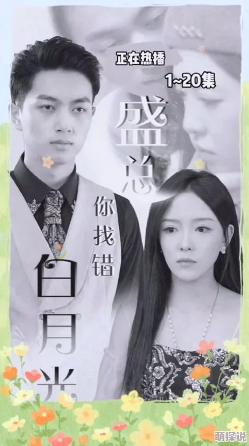 千百噜闪耀的星星-盛总你找错白月光了追寻梦想勇敢前行创造美好未来 千百噜闪耀的星星-盛总你找错白月光了追寻梦想勇敢前行创造美好未来